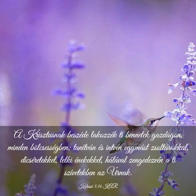 Picture 03 - Kolossé 3:16 KAR - A Krisztusnak beszéde lakozzék ti bennetek - Bible Verse Picture