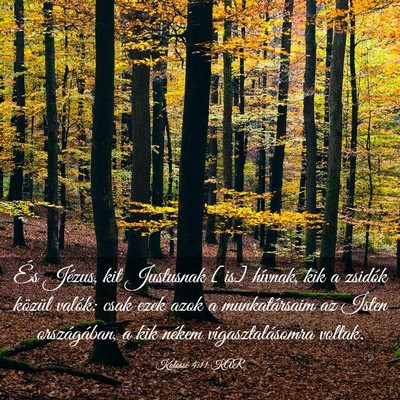 Picture 03 - Kolossé 4:11 KAR - És Jézus, kit Justusnak [is] hívnak, kik a - Bible Verse Picture