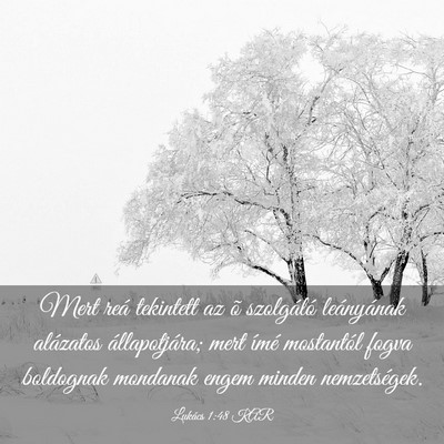 Picture 03 - Lukács 1:48 KAR - Mert reá tekintett az õ szolgáló leányának - Bible Verse Picture