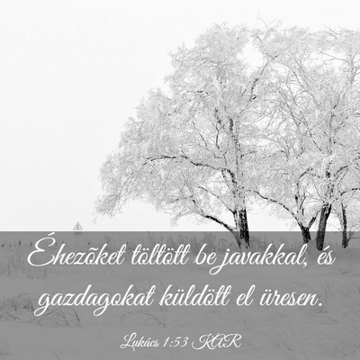 Picture 03 - Lukács 1:53 KAR - Éhezõket töltött be javakkal, és gazdagokat - Bible Verse Picture