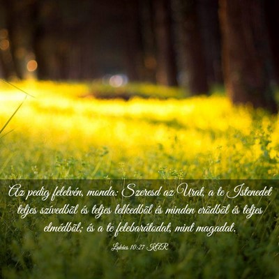 Picture 03 - Lukács 10:27 KAR - Az pedig felelvén, monda: Szeresd az Urat, a te - Bible Verse Picture