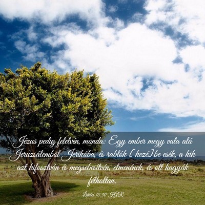 Picture 03 - Lukács 10:30 KAR - Jézus pedig felelvén, monda: Egy ember megy - Bible Verse Picture
