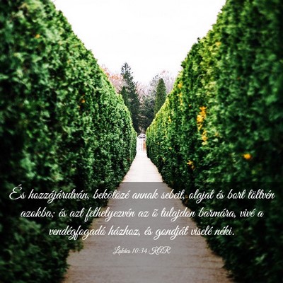 Picture 03 - Lukács 10:34 KAR - És hozzájárulván, bekötözé annak sebeit, - Bible Verse Picture