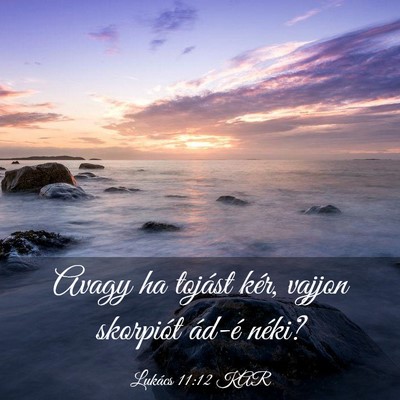 Picture 03 - Lukács 11:12 KAR - Avagy ha tojást kér, vajjon skorpiót ád-é - Bible Verse Picture