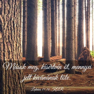 Picture 03 - Lukács 11:16 KAR - Mások meg, kísértvén õt, mennyei jelt - Bible Verse Picture