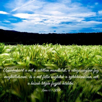 Picture 03 - Lukács 12:3 KAR - Annakokáért a mit a sötétben mondtatok, a - Bible Verse Picture