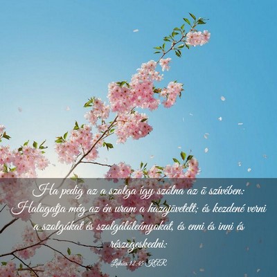 Picture 03 - Lukács 12:45 KAR - Ha pedig az a szolga így szólna az õ - Bible Verse Picture