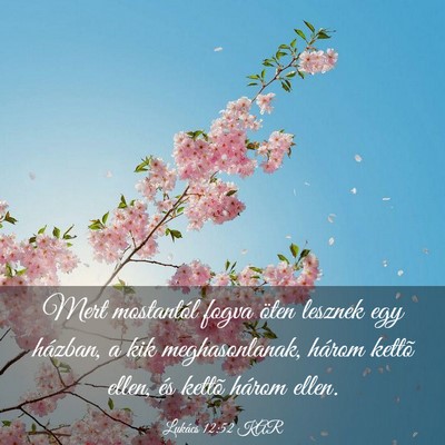 Picture 03 - Lukács 12:52 KAR - Mert mostantól fogva öten lesznek egy házban, - Bible Verse Picture