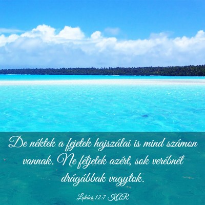 Picture 03 - Lukács 12:7 KAR - De néktek a fejetek hajszálai is mind számon - Bible Verse Picture