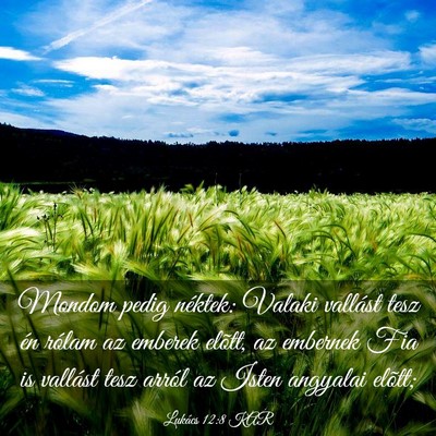 Picture 03 - Lukács 12:8 KAR - Mondom pedig néktek: Valaki vallást tesz én - Bible Verse Picture