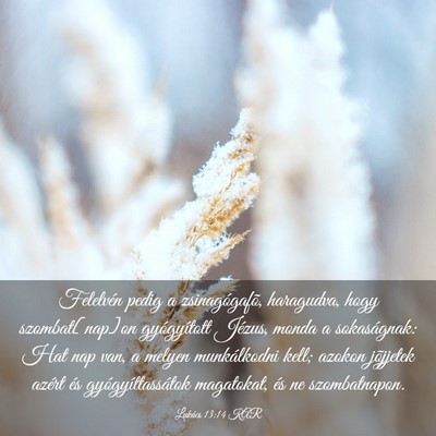 Picture 03 - Lukács 13:14 KAR - Felelvén pedig a zsinagógafõ, haragudva, hogy - Bible Verse Picture