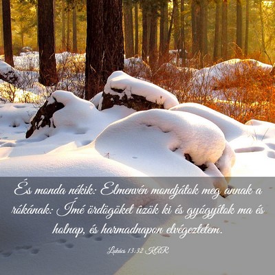 Picture 03 - Lukács 13:32 KAR - És monda nékik: Elmenvén mondjátok meg annak - Bible Verse Picture