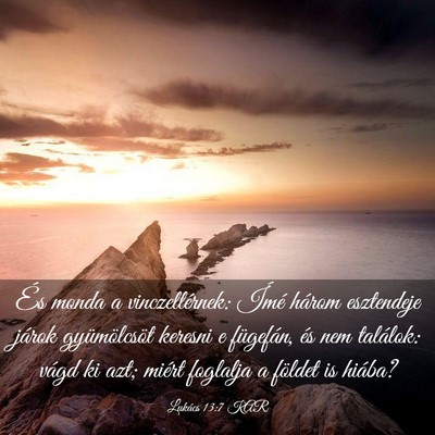 Picture 03 - Lukács 13:7 KAR - És monda a vinczellérnek: Ímé három - Bible Verse Picture
