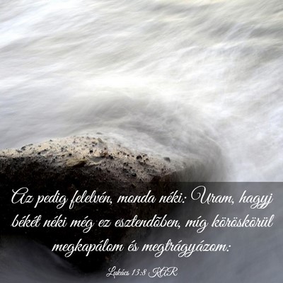 Picture 03 - Lukács 13:8 KAR - Az pedig felelvén, monda néki: Uram, hagyj - Bible Verse Picture
