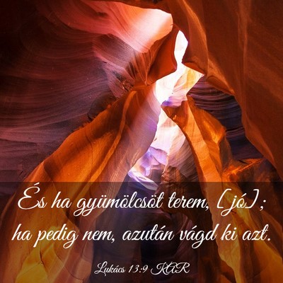 Picture 03 - Lukács 13:9 KAR - És ha gyümölcsöt terem, [jó]; ha pedig nem, - Bible Verse Picture