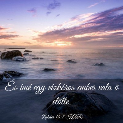 Picture 03 - Lukács 14:2 KAR - És ímé egy vízkóros ember vala õ - Bible Verse Picture