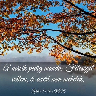 Picture 03 - Lukács 14:20 KAR - A másik pedig monda: Feleséget vettem, és - Bible Verse Picture