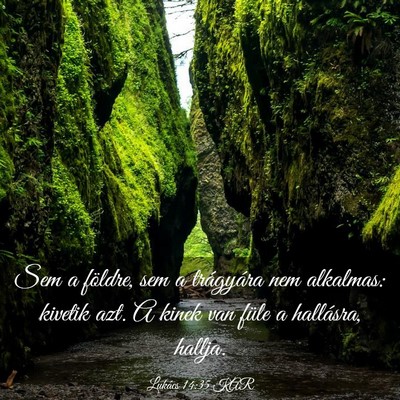 Picture 03 - Lukács 14:35 KAR - Sem a földre, sem a trágyára nem alkalmas: - Bible Verse Picture