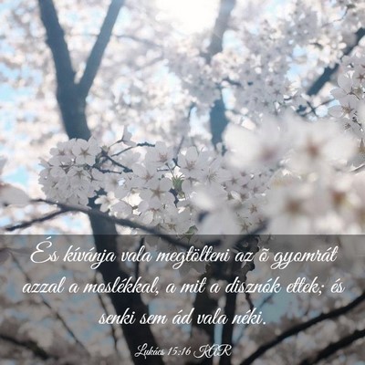 Picture 03 - Lukács 15:16 KAR - És kívánja vala megtölteni az õ gyomrát - Bible Verse Picture
