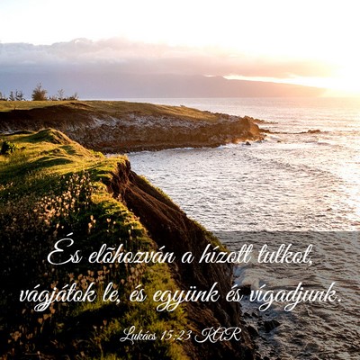 Picture 03 - Lukács 15:23 KAR - És elõhozván a hízott tulkot, vágjátok le, - Bible Verse Picture
