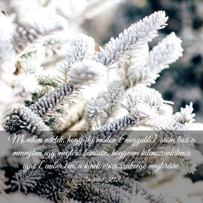 Picture 03 - Lukács 15:7 KAR - Mondom néktek, hogy ily módon [nagyobb] öröm - Bible Verse Picture