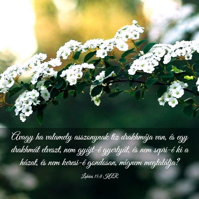 Picture 03 - Lukács 15:8 KAR - Avagy ha valamely asszonynak tíz drakhmája van, - Bible Verse Picture
