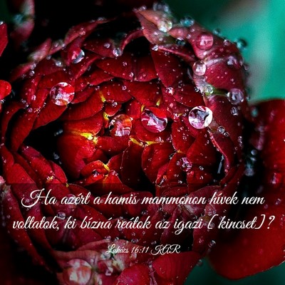 Picture 03 - Lukács 16:11 KAR - Ha azért a hamis mammonon hívek nem voltatok, - Bible Verse Picture