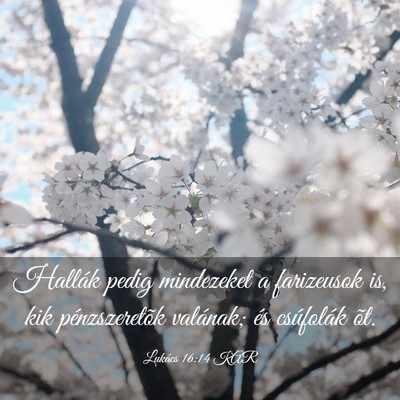 Picture 03 - Lukács 16:14 KAR - Hallák pedig mindezeket a farizeusok is, kik - Bible Verse Picture