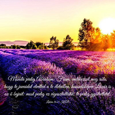 Picture 03 - Lukács 16:25 KAR - Monda pedig Ábrahám: Fiam, emlékezzél meg - Bible Verse Picture