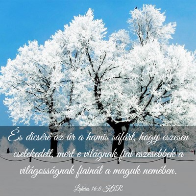 Picture 03 - Lukács 16:8 KAR - És dícséré az úr a hamis sáfárt, hogy - Bible Verse Picture