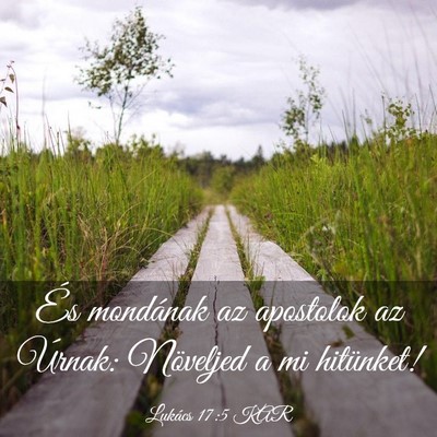 Picture 03 - Lukács 17:5 KAR - És mondának az apostolok az Úrnak: Növeljed a - Bible Verse Picture