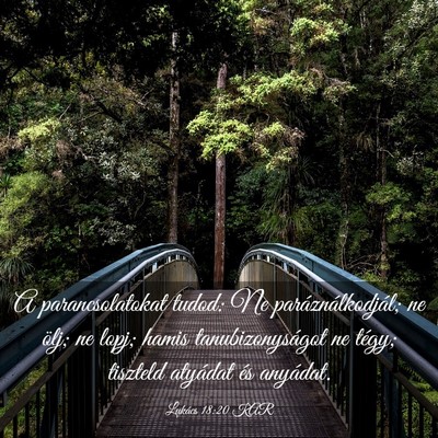 Picture 03 - Lukács 18:20 KAR - A parancsolatokat tudod: Ne paráználkodjál; ne - Bible Verse Picture