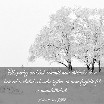 Picture 03 - Lukács 18:34 KAR - Õk pedig ezekbõl semmit nem értének; és a - Bible Verse Picture