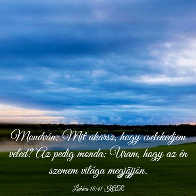 Picture 03 - Lukács 18:41 KAR - Mondván: Mit akarsz, hogy cselekedjem veled? Az - Bible Verse Picture