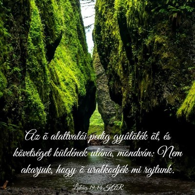 Picture 03 - Lukács 19:14 KAR - Az õ alattvalói pedig gyûlölék õt, és - Bible Verse Picture