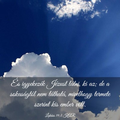 Picture 03 - Lukács 19:3 KAR - És igyekezék Jézust látni, ki az; de a - Bible Verse Picture