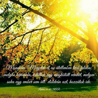 Picture 03 - Lukács 19:30 KAR - Mondván: Menjetek el az átellenben levõ - Bible Verse Picture