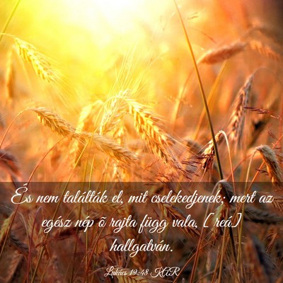 Picture 03 - Lukács 19:48 KAR - És nem találták el, mit cselekedjenek; mert az - Bible Verse Picture