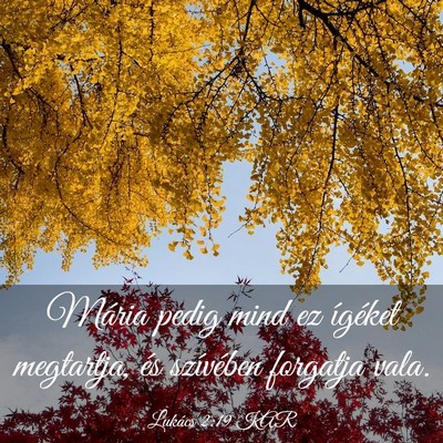 Picture 03 - Lukács 2:19 KAR - Mária pedig mind ez ígéket megtartja, és - Bible Verse Picture