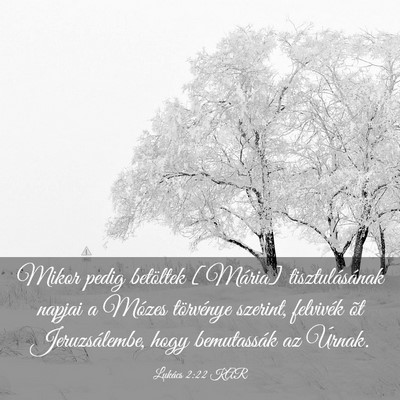 Picture 03 - Lukács 2:22 KAR - Mikor pedig betöltek [Mária] tisztulásának - Bible Verse Picture