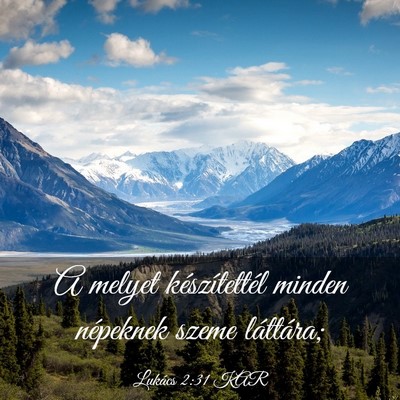 Picture 03 - Lukács 2:31 KAR - A melyet készítettél minden népeknek szeme - Bible Verse Picture