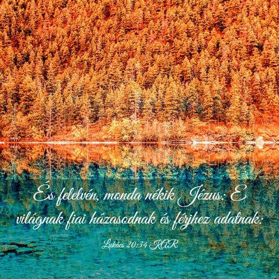 Picture 03 - Lukács 20:34 KAR - És felelvén, monda nékik Jézus: E világnak - Bible Verse Picture