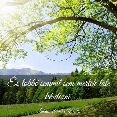 Picture 03 - Lukács 20:40 KAR - És többé semmit sem mertek tõle - Bible Verse Picture
