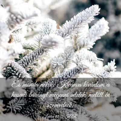 Picture 03 - Lukács 22:15 KAR - És monda nékik: Kívánva kívántam a husvéti - Bible Verse Picture