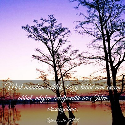 Picture 03 - Lukács 22:16 KAR - Mert mondom néktek, hogy többé nem eszem - Bible Verse Picture