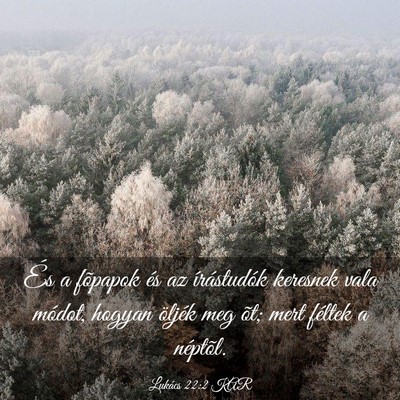 Picture 03 - Lukács 22:2 KAR - És a fõpapok és az írástudók keresnek vala - Bible Verse Picture