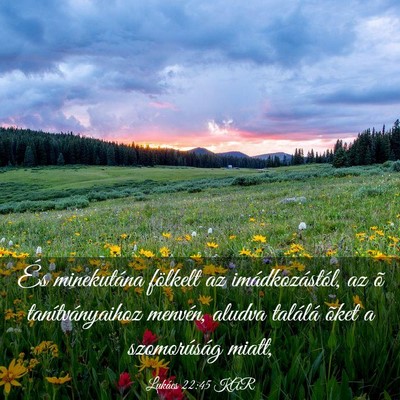 Picture 03 - Lukács 22:45 KAR - És minekutána fölkelt az imádkozástól, az - Bible Verse Picture