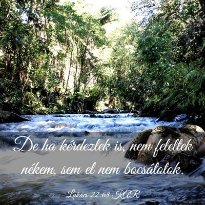 Picture 03 - Lukács 22:68 KAR - De ha kérdezlek is, nem feleltek nékem, sem el - Bible Verse Picture
