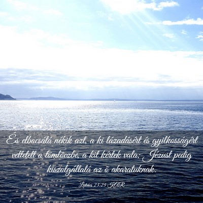 Picture 03 - Lukács 23:25 KAR - És elbocsátá nékik azt, a ki lázadásért - Bible Verse Picture