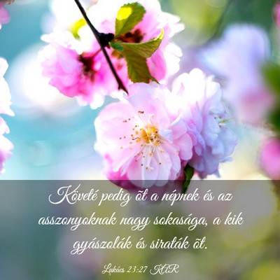 Picture 03 - Lukács 23:27 KAR - Követé pedig õt a népnek és az asszonyoknak - Bible Verse Picture